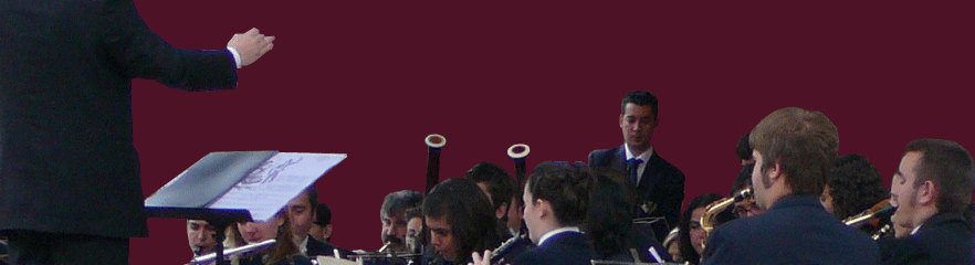 Espect�culo de M�sica: Bandas de M�sica