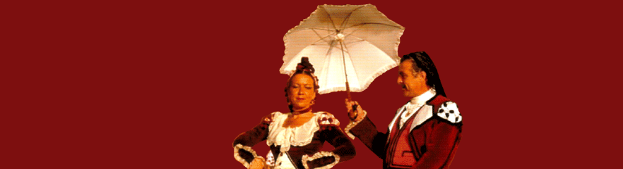 Espect�culo de Danza: M�sica y baile tradicional de la Comunidad de Madrid (FEMAF)
