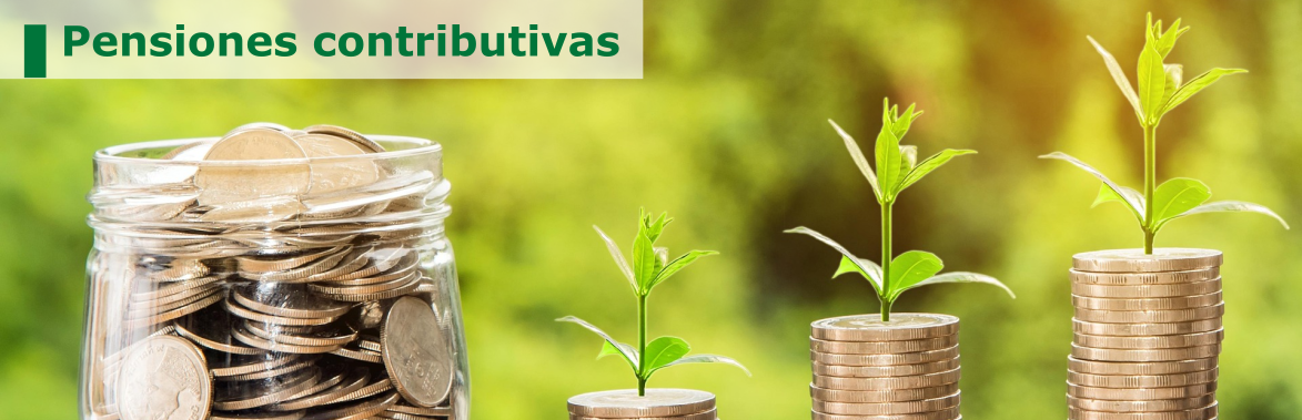 Pensiones contributivas de la Seguridad Social