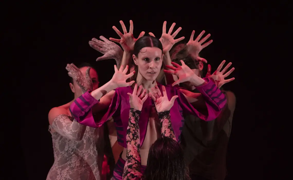 Imagen de la actividad