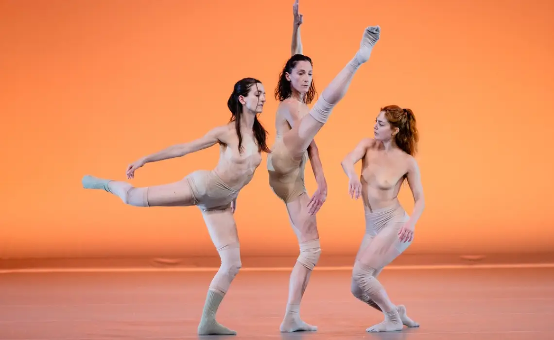 Imagen de la actividad