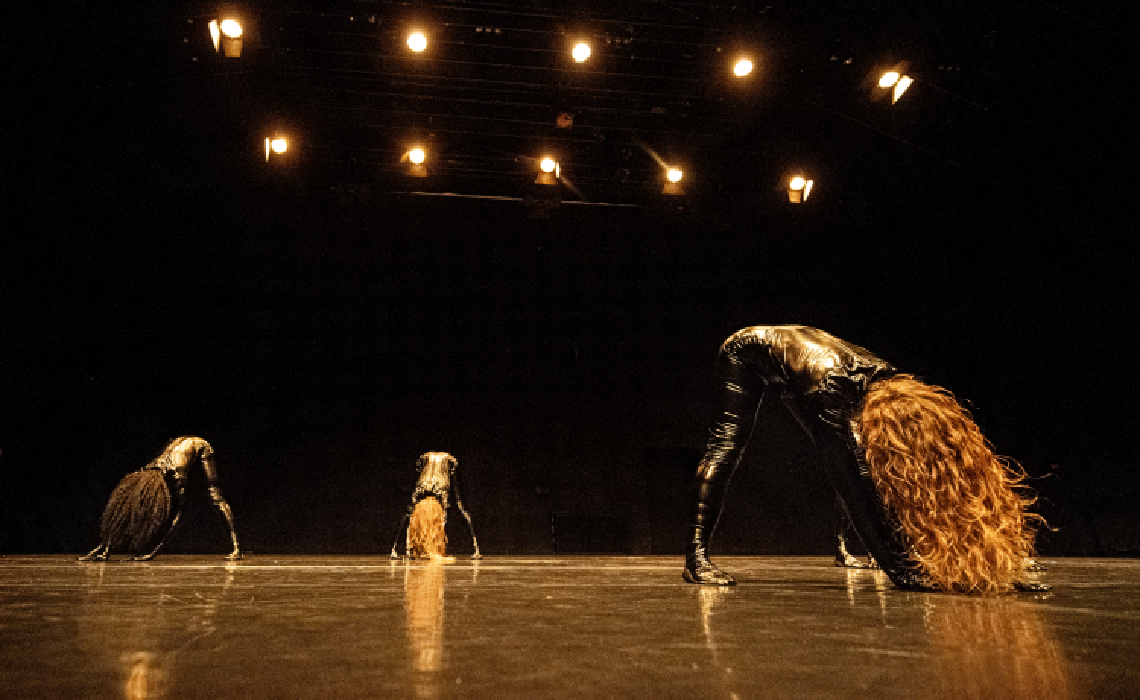 Imagen de la actividad