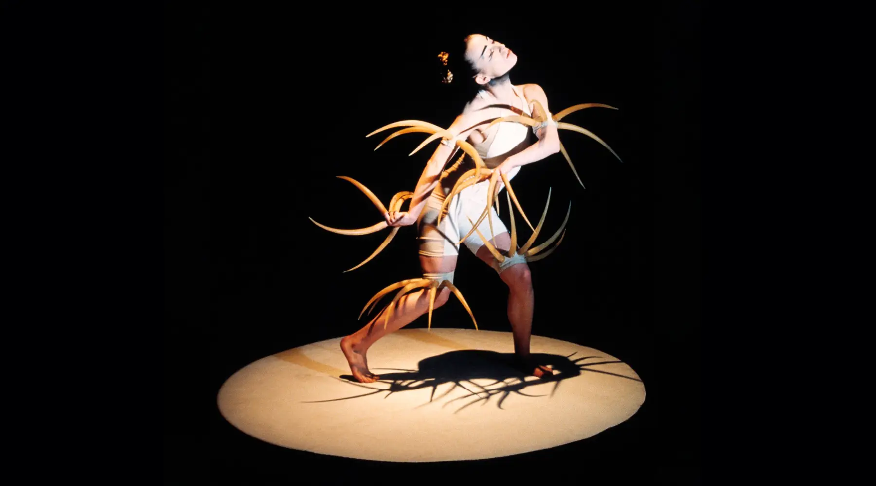 Cartel de Festival Madrid en Danza 2025 de la Comunidad de Madrid