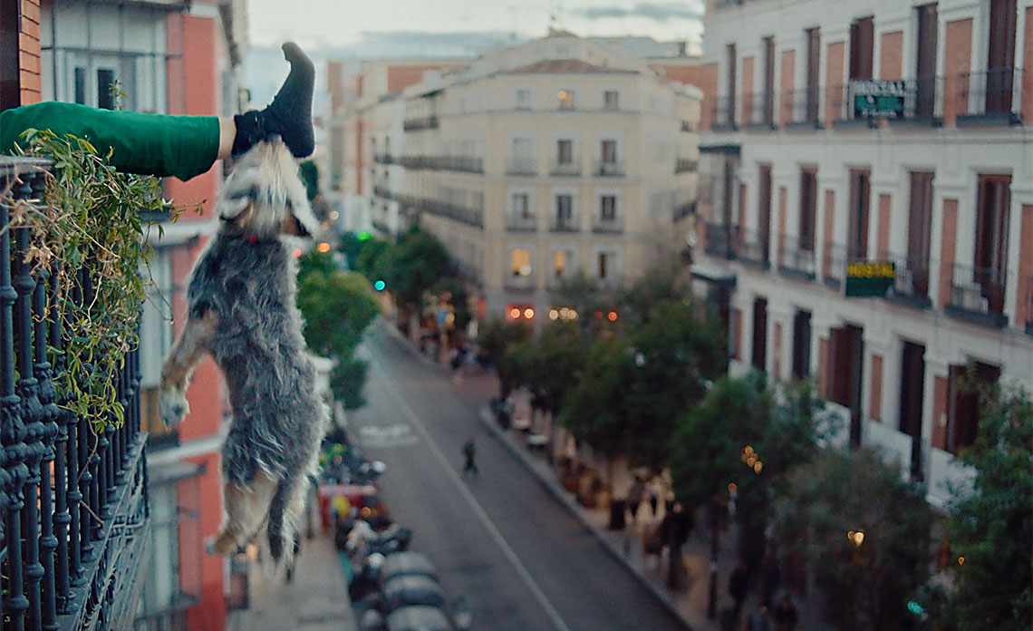 Imagen del corto