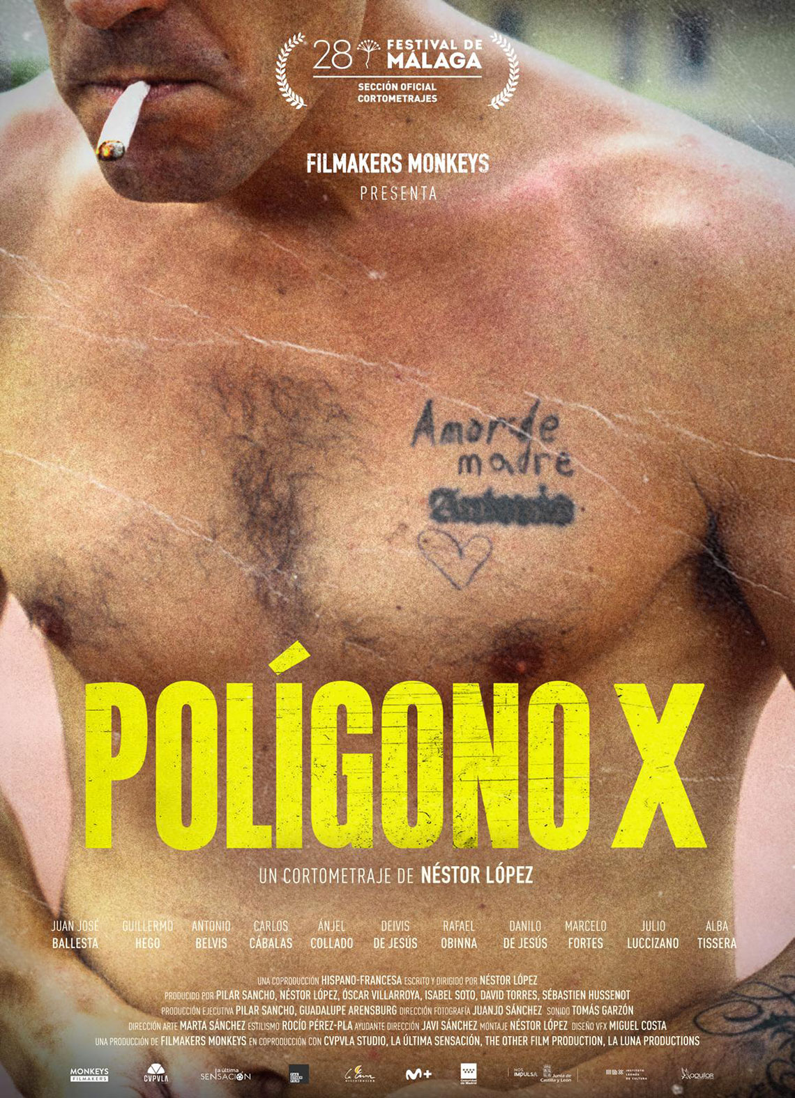 Polígono X