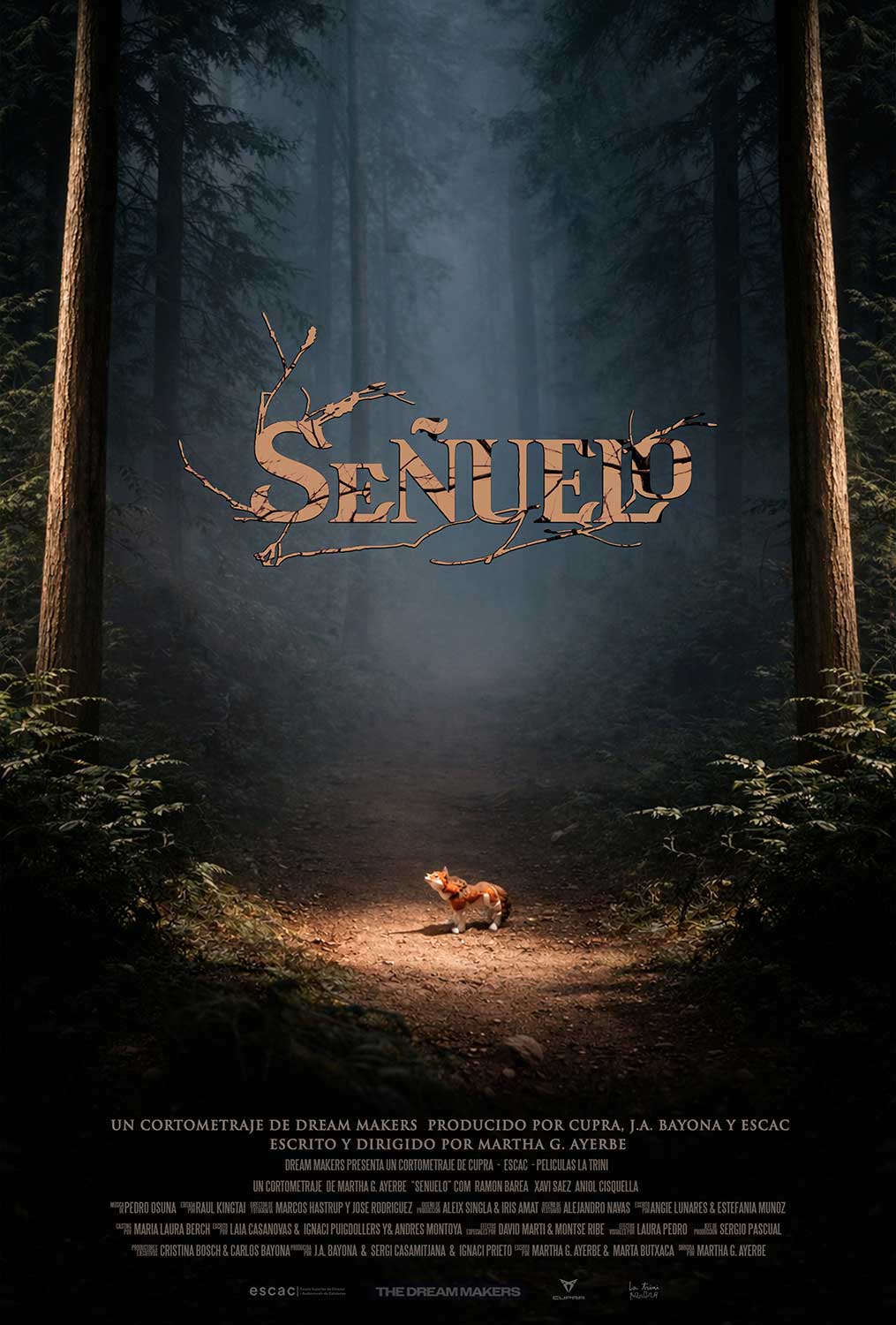 Cartel del corto Señuelo